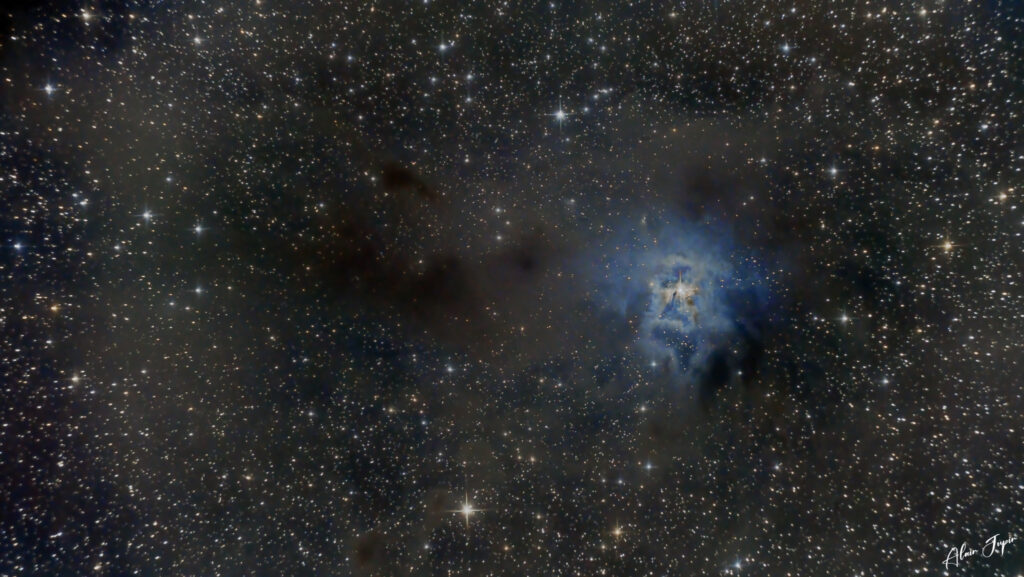 Photo de la nébuleuse de l'Iris (NGC 7023).